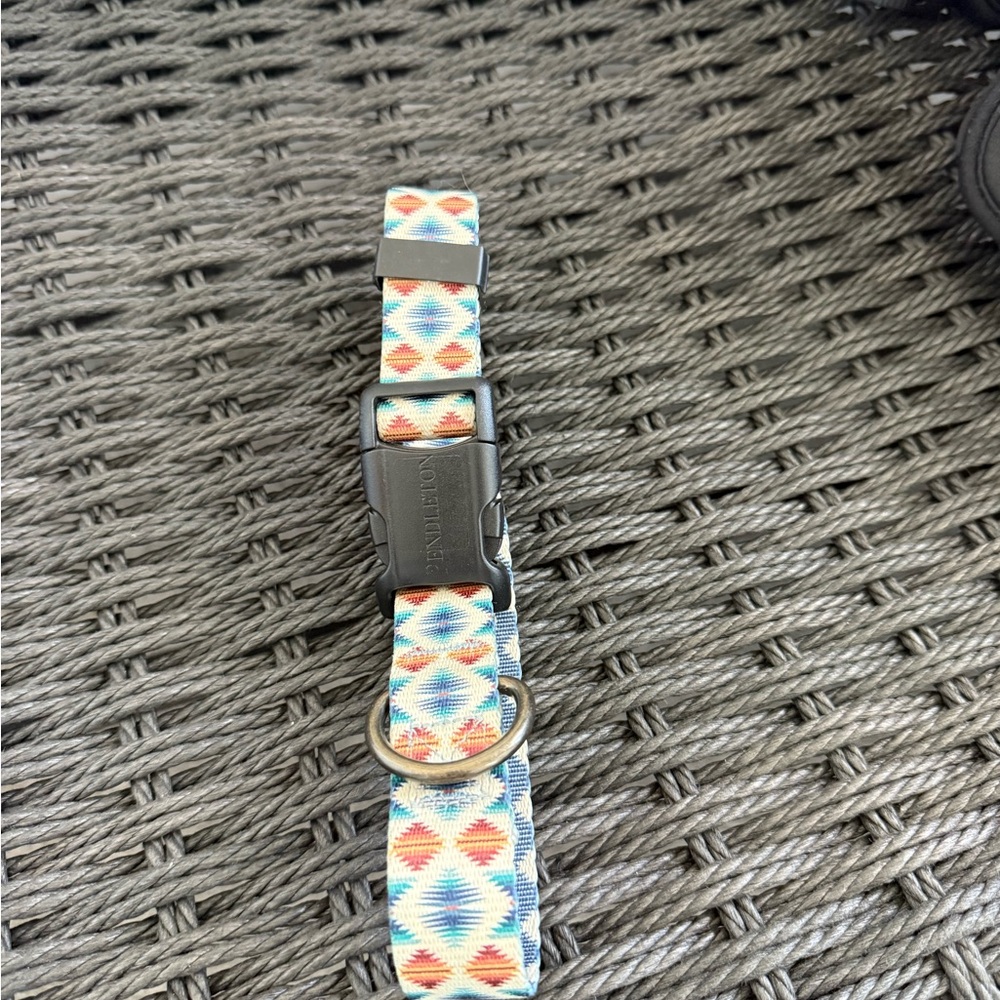 New Pendleton Dog Collar, Medium 13-16 inch neck, 3/4 inch wide